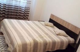 Apartament de 2 camere, 40mp, zona Garii