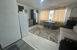 Apartament de 1 camera, zona Tatarasi, 30 mp