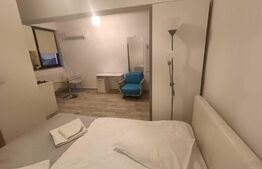 Apartament de 1 camera, 30mp, zona Copou