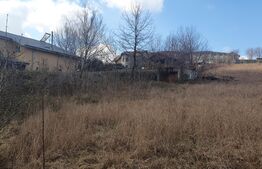 Teren 1000mp, Lac Rediu, toate utilitatile