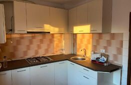 Apartament de 2 camere, decomandat, 50mp, zona Tatarasi