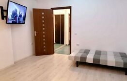 Garsoniera de 30mp, zona Podul de Fier