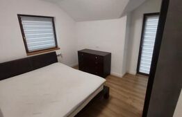 Casa de 4 camere, 110mp, zona Bucium