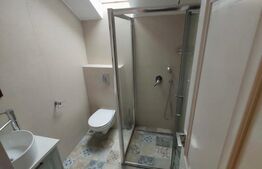 Casa de 4 camere, 110mp, zona Bucium