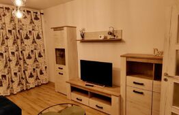 Apartament de 2 camere, decomandat, 60mp, zona Miroslava