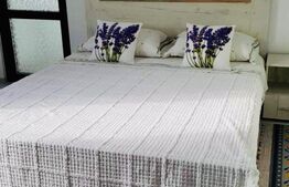 Apartament de 2 camere, 45mp, zona Pacurari