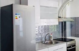 Apartament de 2 camere, 45mp, zona Pacurari