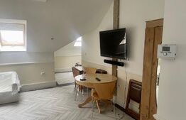 Apartament de 3 camere, 117mp, zona Copou