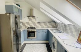 Apartament de 3 camere, 117mp, zona Copou