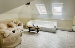 Apartament de 3 camere, 117mp, zona Copou