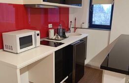 Apartament 2 camere, bucatarie open-space, 30mp, zona Copou-Universitate
