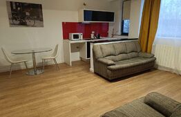 Apartament 2 camere, bucatarie open-space, 30mp, zona Copou-Universitate