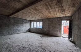 Casa  la rosu 4 camere, 169mp,  piata Pacurari