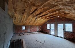 Casa  la rosu 4 camere, 169mp,  piata Pacurari