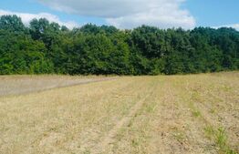 Teren extravilan 737 mp, 100 mp cota indiviza, Centura Iasi -Padurea Uricani