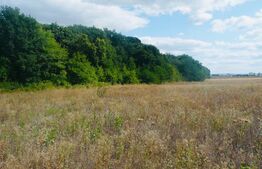 Teren extravilan 737 mp, 100 mp cota indiviza, Centura Iasi -Padurea Uricani