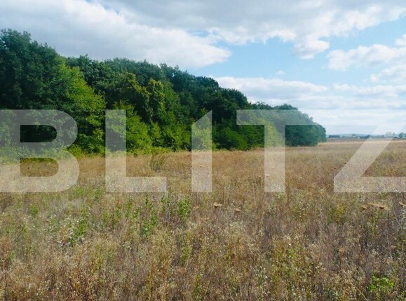 Teren de vânzare Miroslava - 109942TV | BLITZ Iași | Poza2