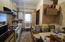 Apartament de 3 camere, decomandat, 2 bai,  Pacurari