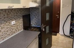 Apartament de 2 camere, decomandat, 55mp, zona Podu Roș