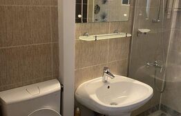 Apartament de 2 camere, decomandat, 55mp, zona Podu Roș