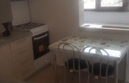 Apartament de o cameră, decomandat, 32mp, zona Valea Adâncă 