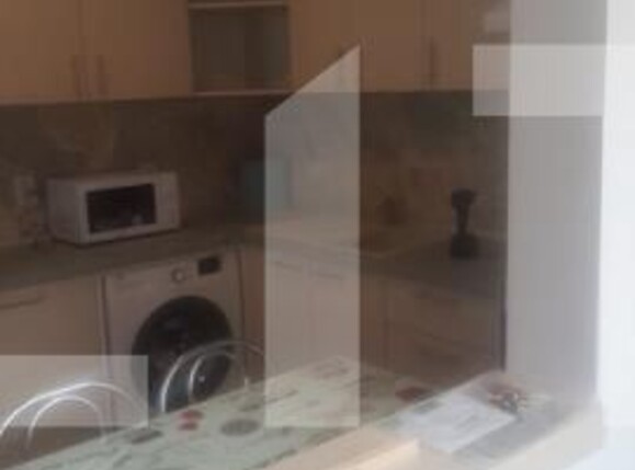 Garsonieră de închiriat Valea Adanca - 110249AI | BLITZ Iași | Poza3