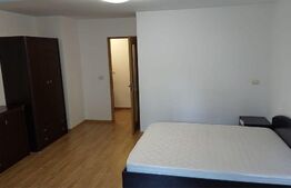 Apartament de o cameră, decomandat, 42mp, zona Păcurari