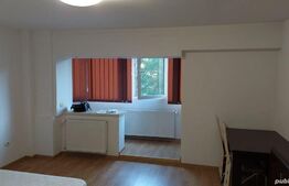 Apartament de o cameră, decomandat, 42mp, zona Păcurari