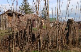 Teren 1400 mp, Dorobanti