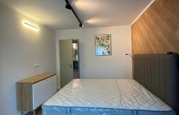 Apartament tip studio, semidecomandat, 45mp, zona Copou