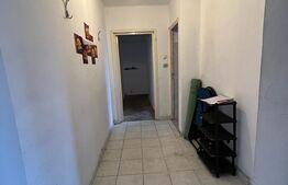 Apartament de 3 camere, zona Alexandru cel Bun
