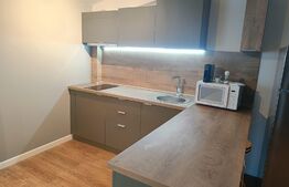 Apartament de 2 camere, semidecomandat, 60mp, zona Copou