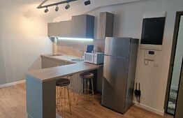 Apartament de 2 camere, semidecomandat, 60mp, zona Copou