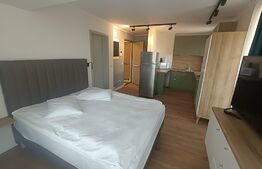 Apartament tip studio, semidecomandat, 35mp, zona Copou