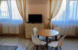 Apartament de 1 camera, 40mp, zona Podu Ros