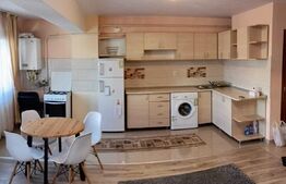 Apartament de 1 camera, 40mp, zona Podu Ros