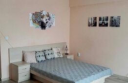 Apartament de 1 camera, 40mp, zona Podu Ros