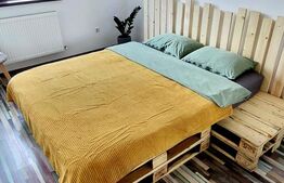 Apartament de 2 camere, decomandat, 65mp, zona Păcurari 