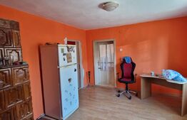 Casa batraneasca 100 mp, Miroslava, Centru