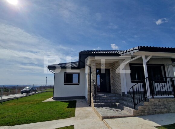 Casa de închiriat 4 camere Valea Adanca - 110956CI | BLITZ Iași | Poza3