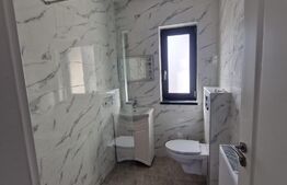 Casa 4 camere, 120 mp, 870 mp de teren, Balciu