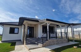 Casa plan parter, 500 mp de teren, Valea Adanca