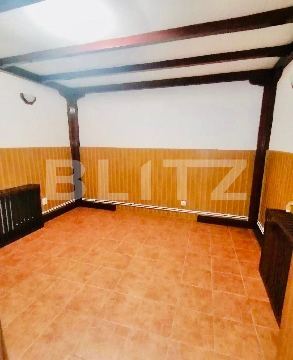 Spațiu comercial de închiriat Pacurari - 110991SIC | BLITZ Iași | Poza3