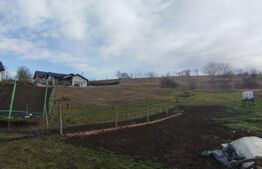 Teren 3200 mp, intravilan, utilitati, Ciurbesti