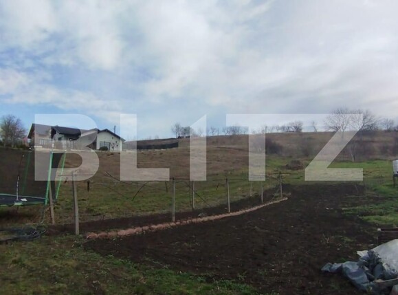 Casa de vânzare 1 camera Ciurbesti - 110993CV | BLITZ Iași | Poza5