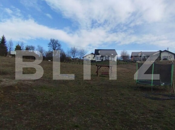 Casa de vânzare 1 camera Ciurbesti - 110993CV | BLITZ Iași | Poza4