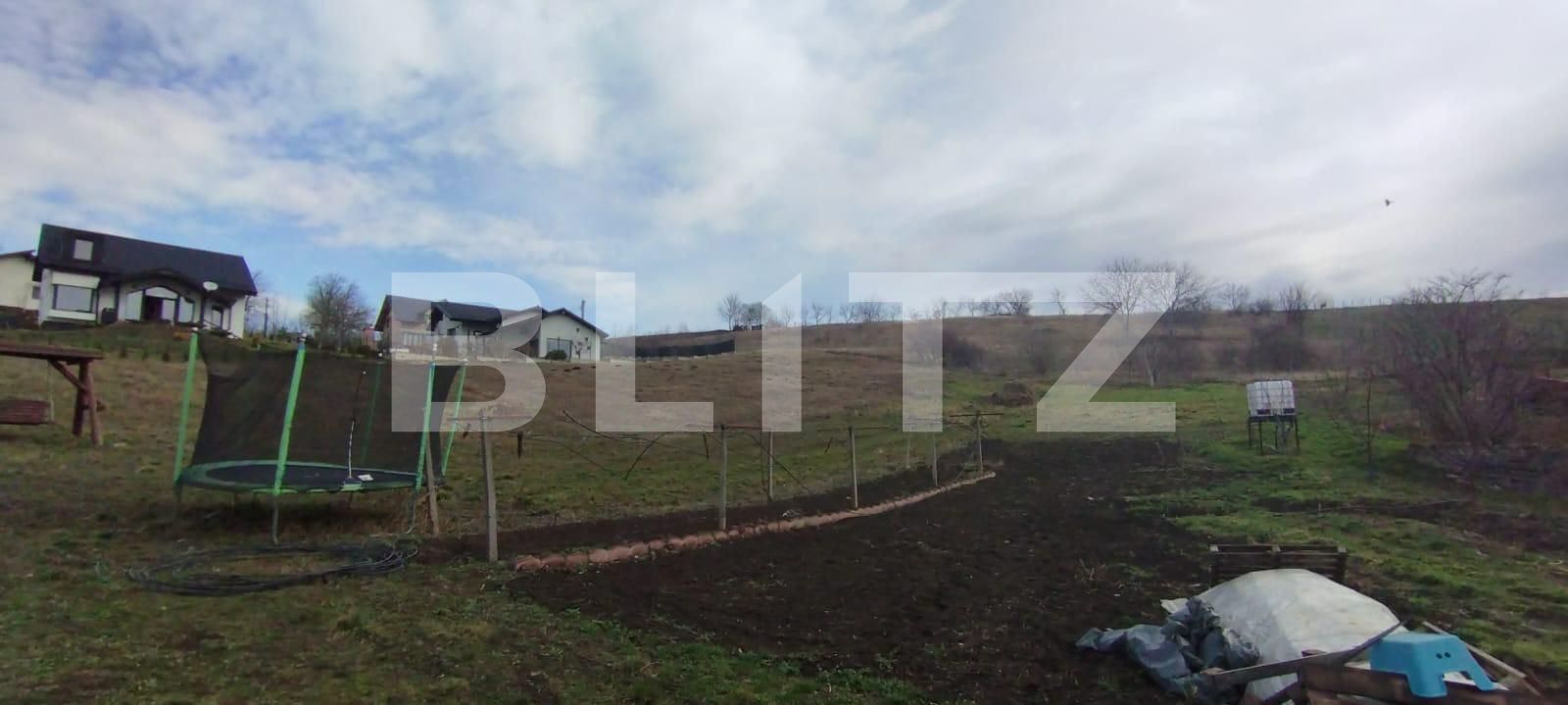 Casa de vânzare 1 camera Ciurbesti - 110993CV | BLITZ Iași | Poza5