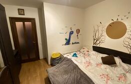 Apartament 2 camere 55 mp, etaj intermediar, Mircea