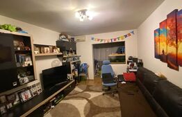 Apartament 2 camere 55 mp, etaj intermediar, Mircea