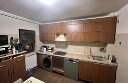 Apartament 2 camere 55 mp, etaj intermediar, Mircea